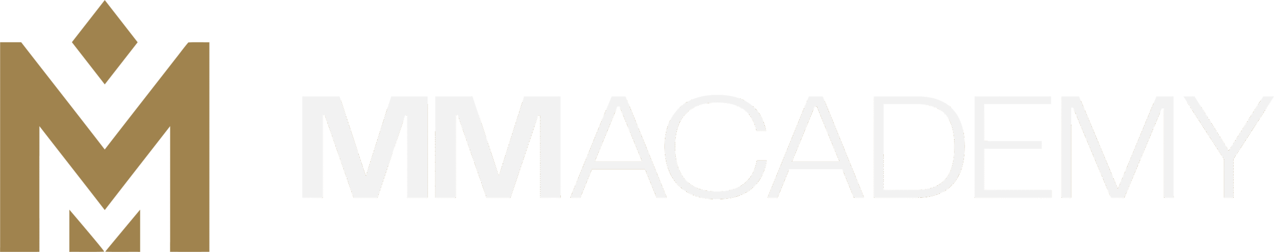 MM Academy